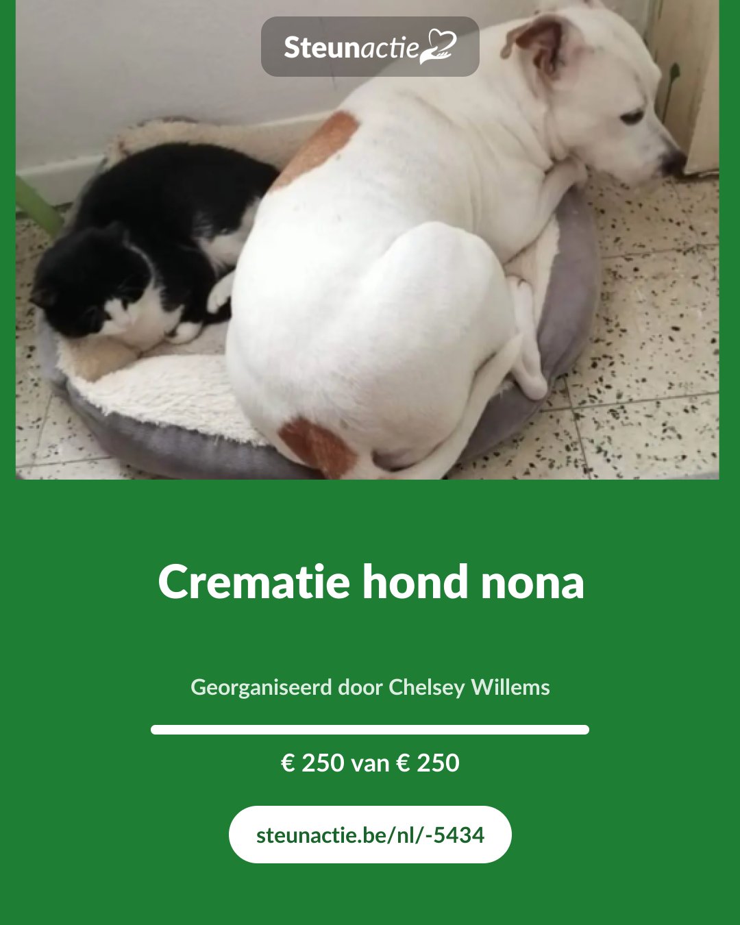 Voorbeeld van de afbeelding