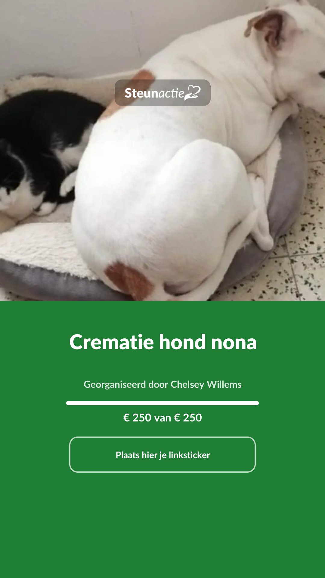 Voorbeeld van de afbeelding