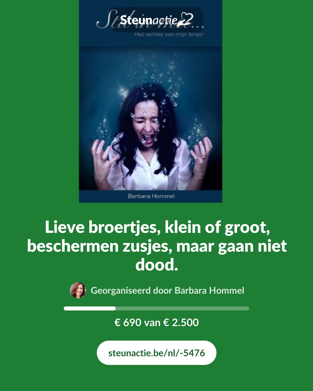 Voorbeeld van de afbeelding