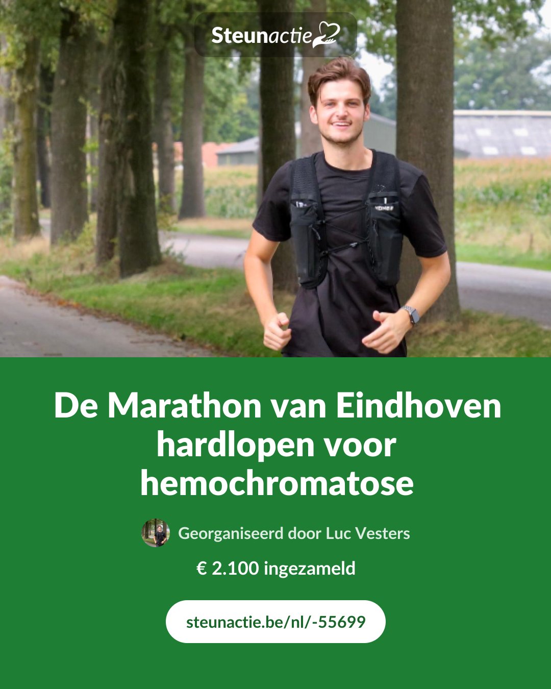 Voorbeeld van de afbeelding