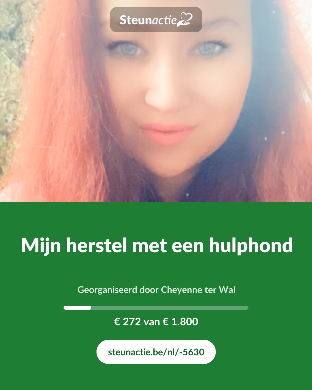 Voorbeeld van de afbeelding