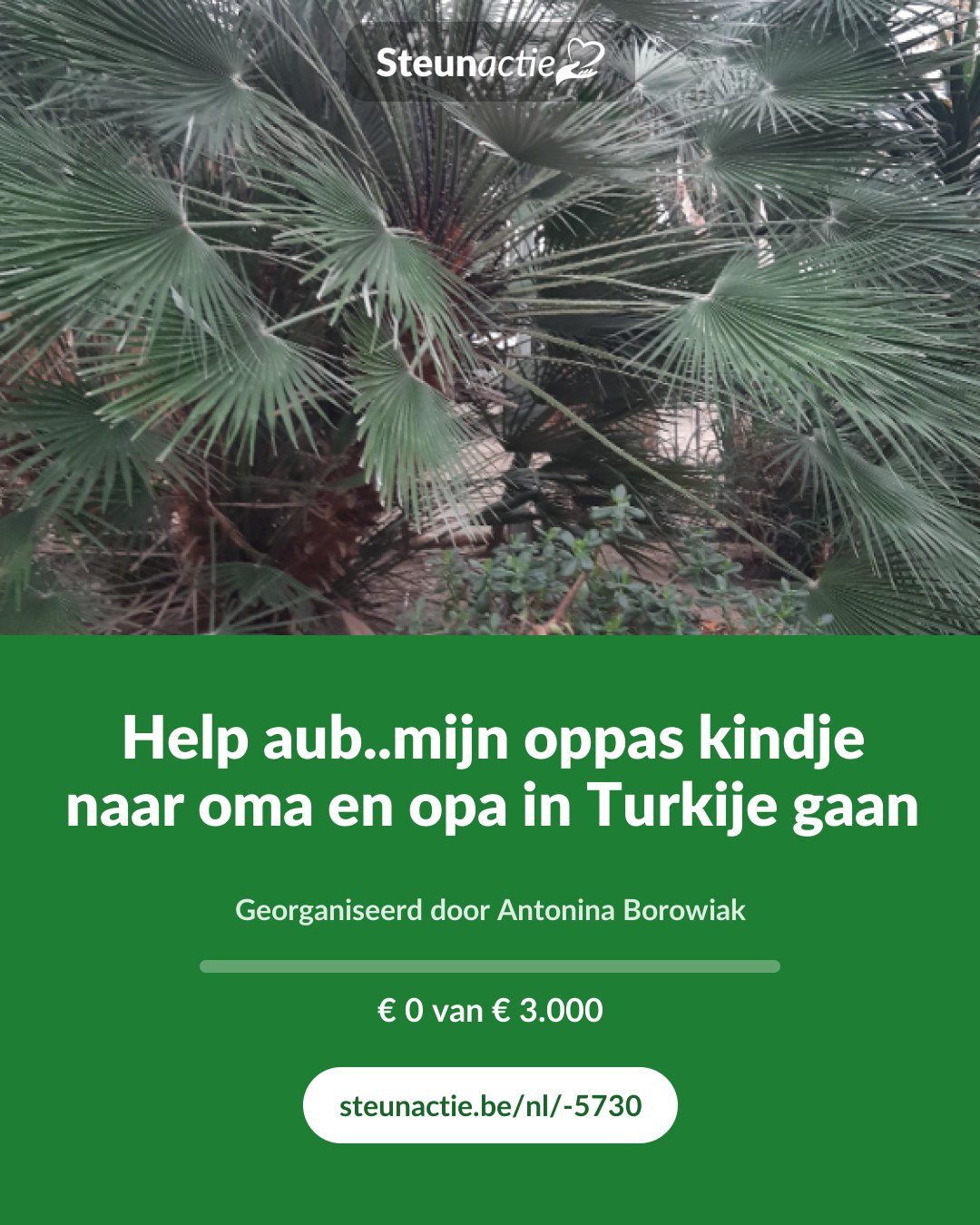 Voorbeeld van de afbeelding