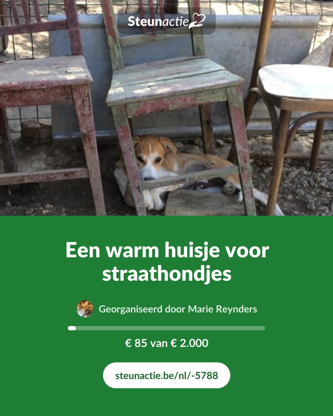 Voorbeeld van de afbeelding