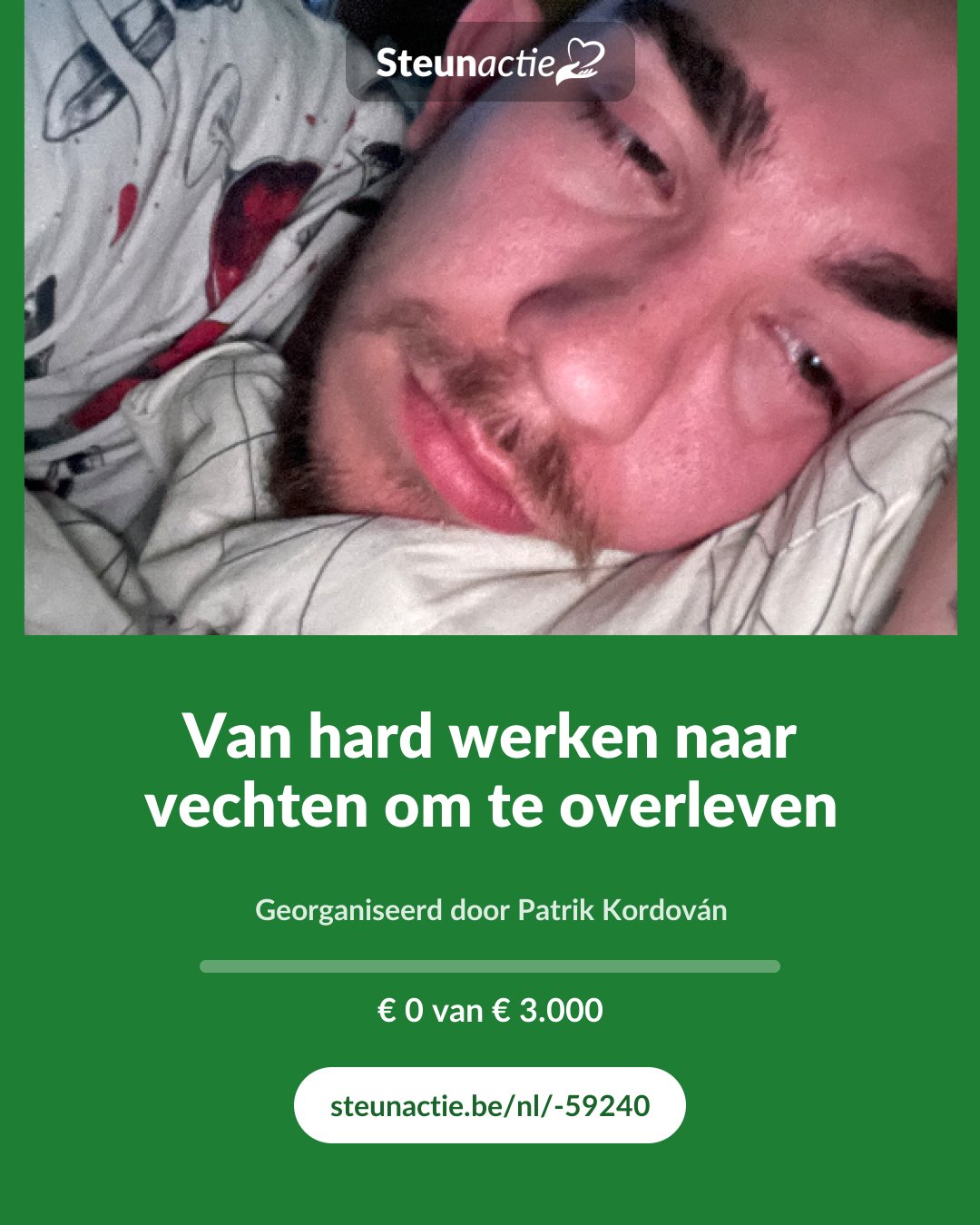 Voorbeeld van de afbeelding