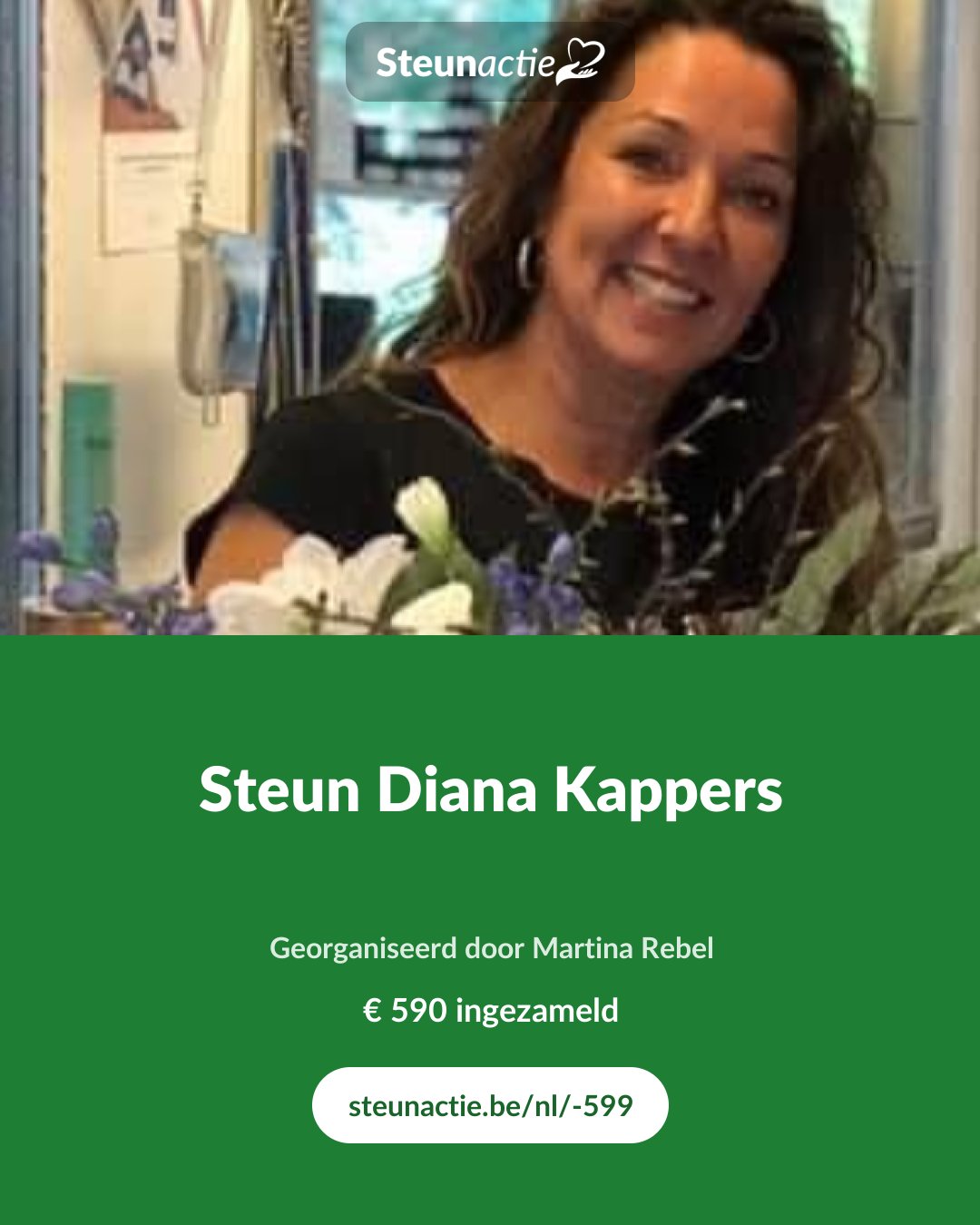 Voorbeeld van de afbeelding