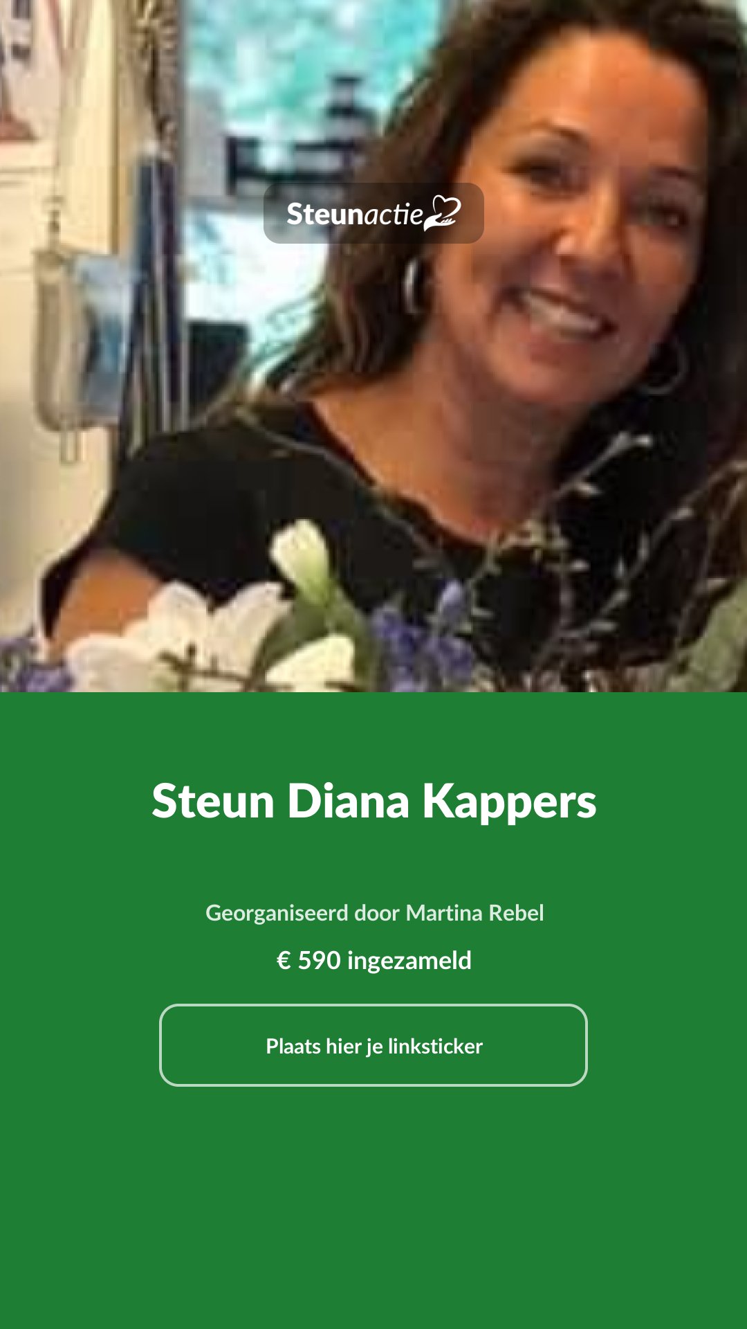 Voorbeeld van de afbeelding