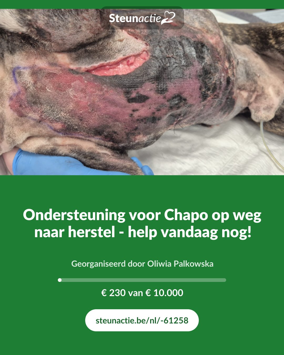Voorbeeld van de afbeelding