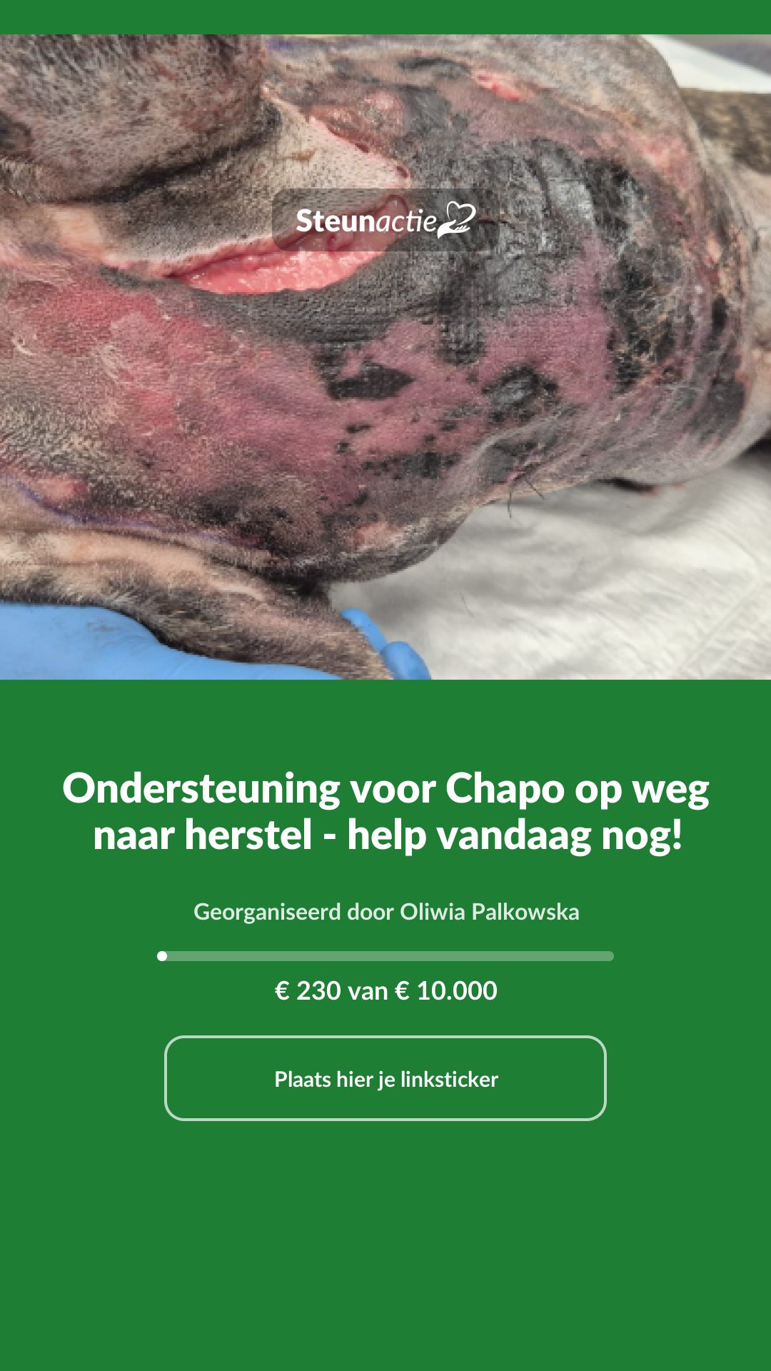 Voorbeeld van de afbeelding