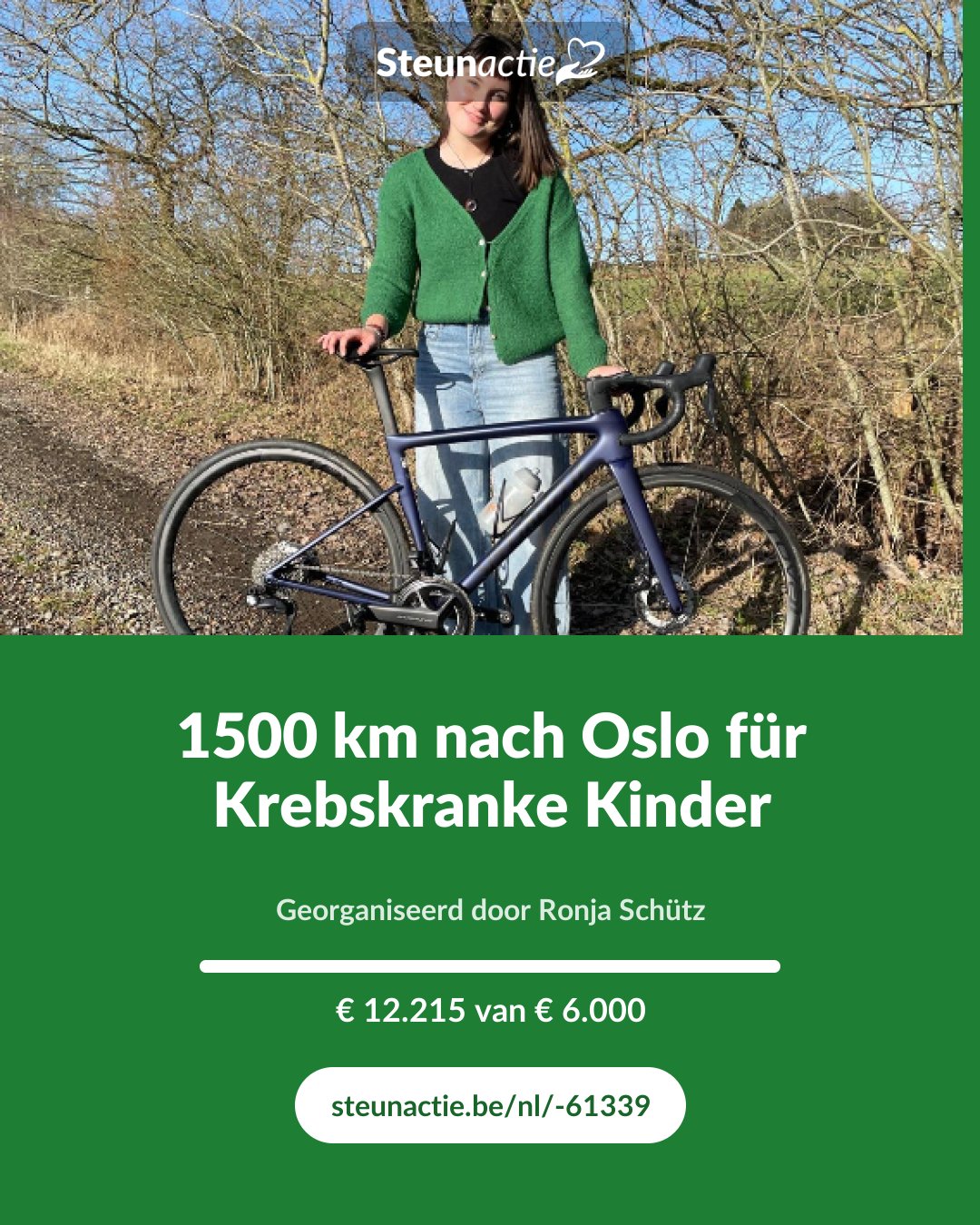 Voorbeeld van de afbeelding