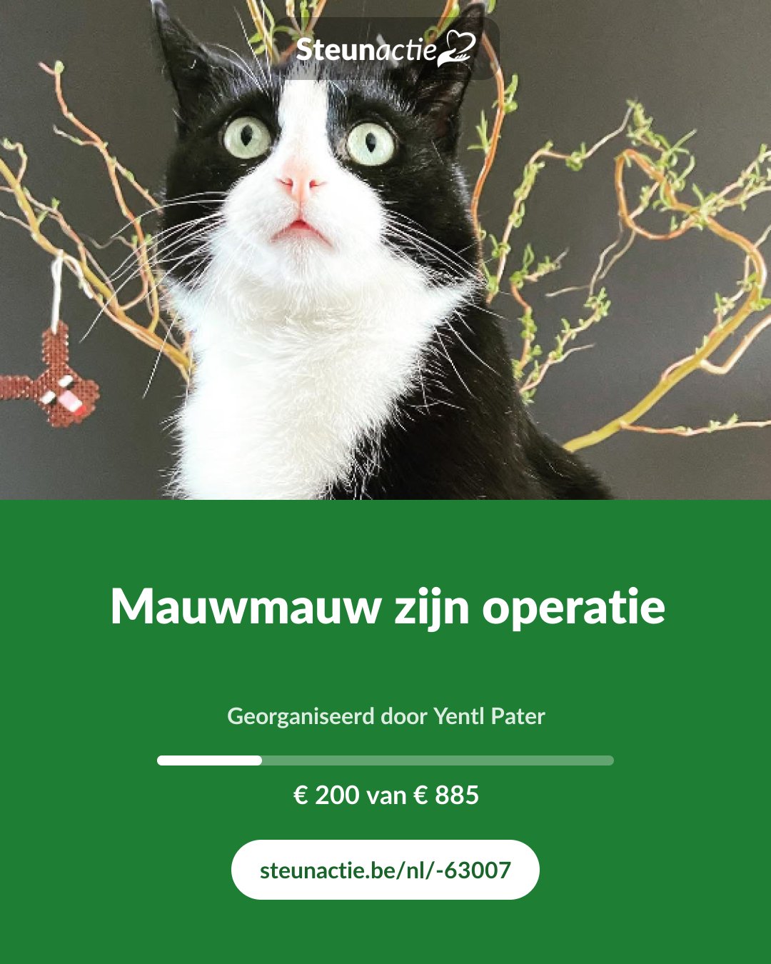 Voorbeeld van de afbeelding
