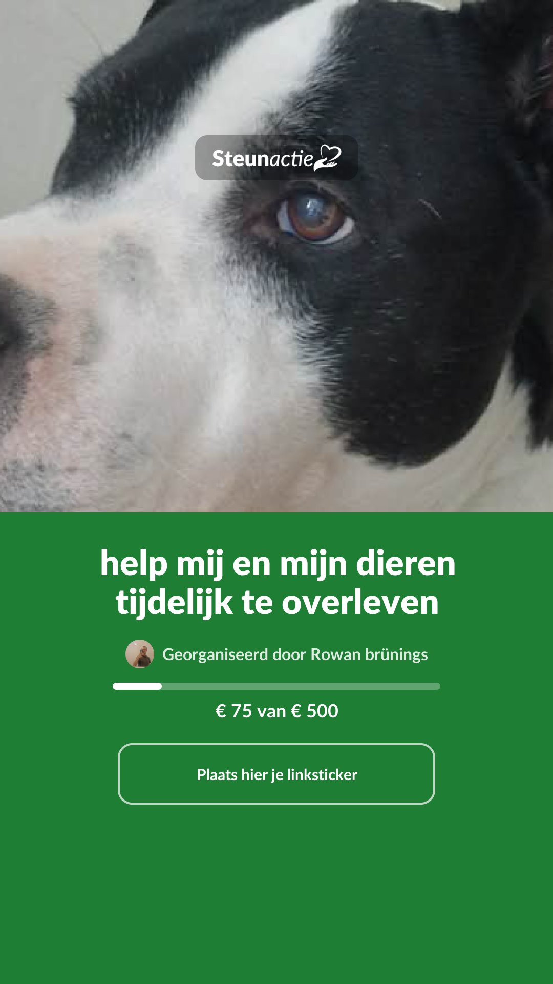 Voorbeeld van de afbeelding