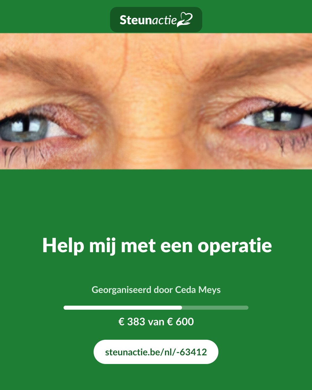 Voorbeeld van de afbeelding