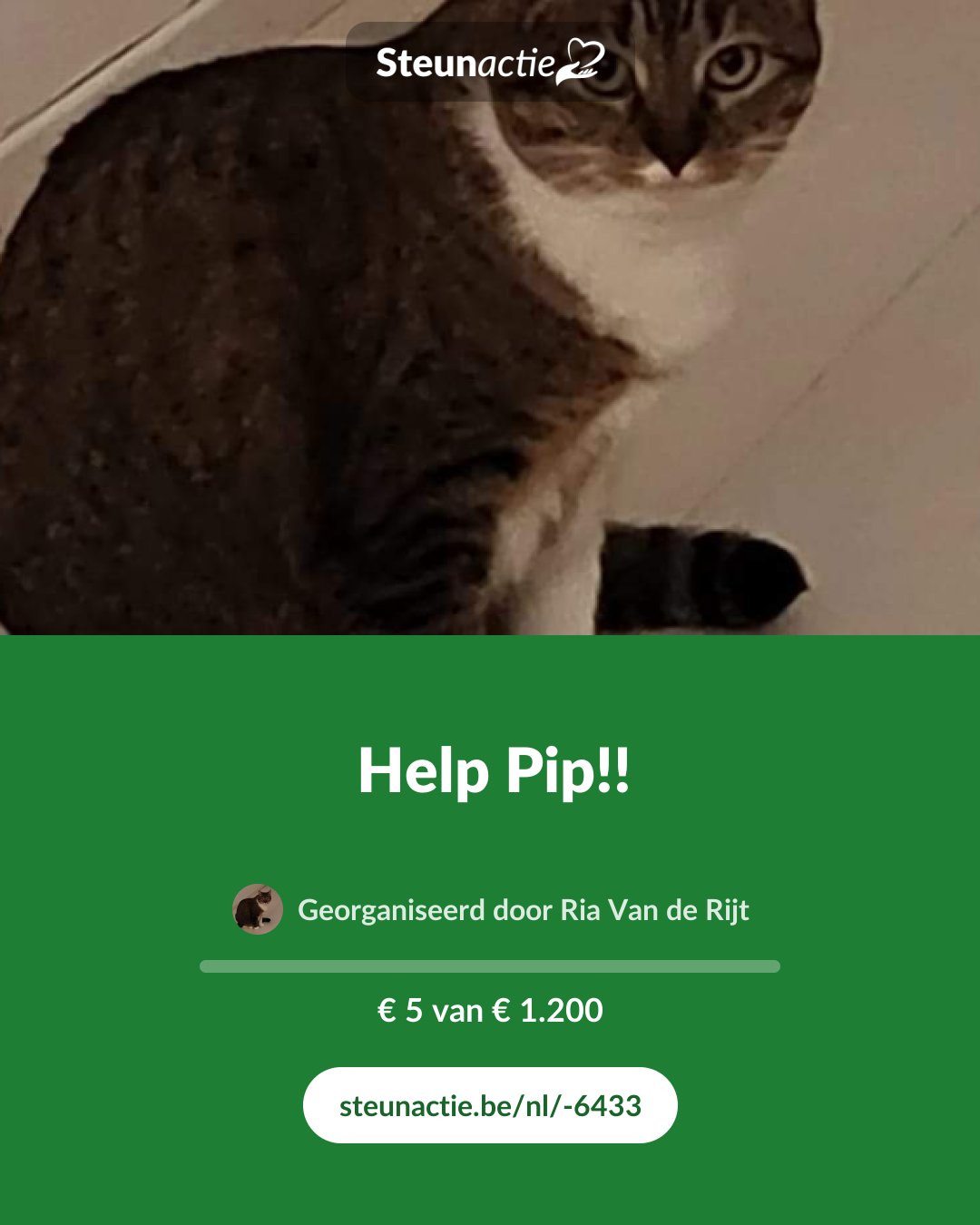 Voorbeeld van de afbeelding