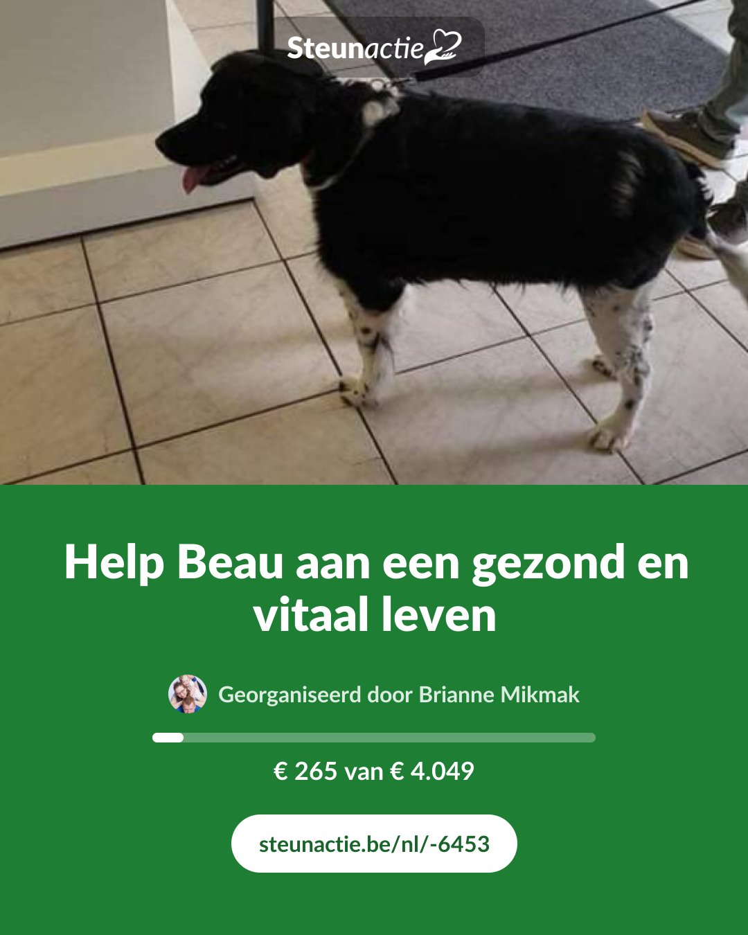Voorbeeld van de afbeelding
