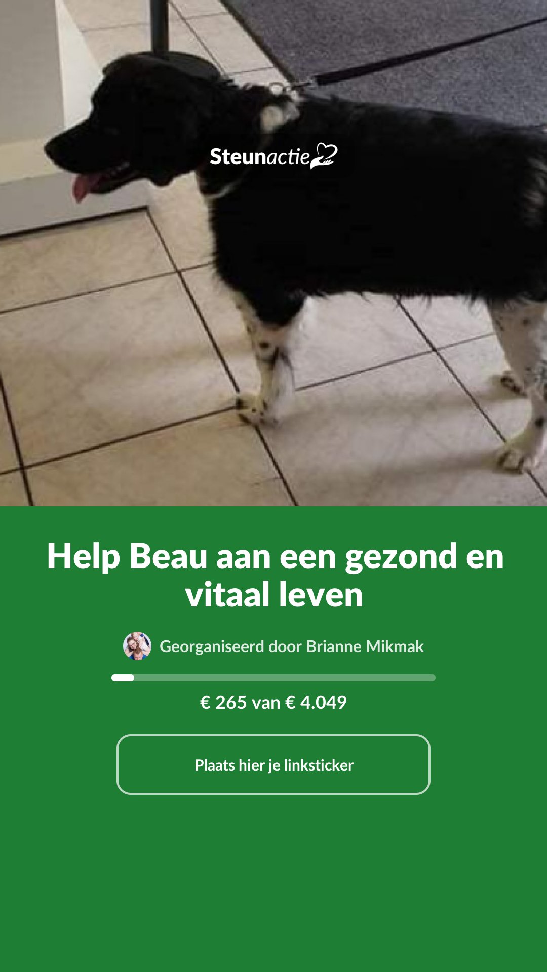 Voorbeeld van de afbeelding