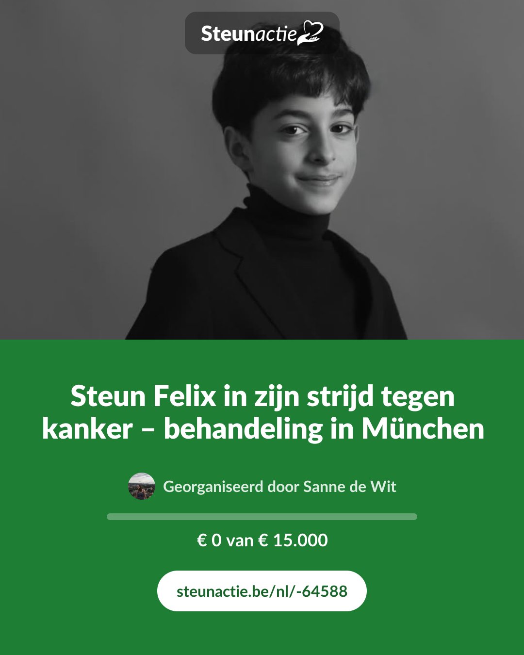 Voorbeeld van de afbeelding