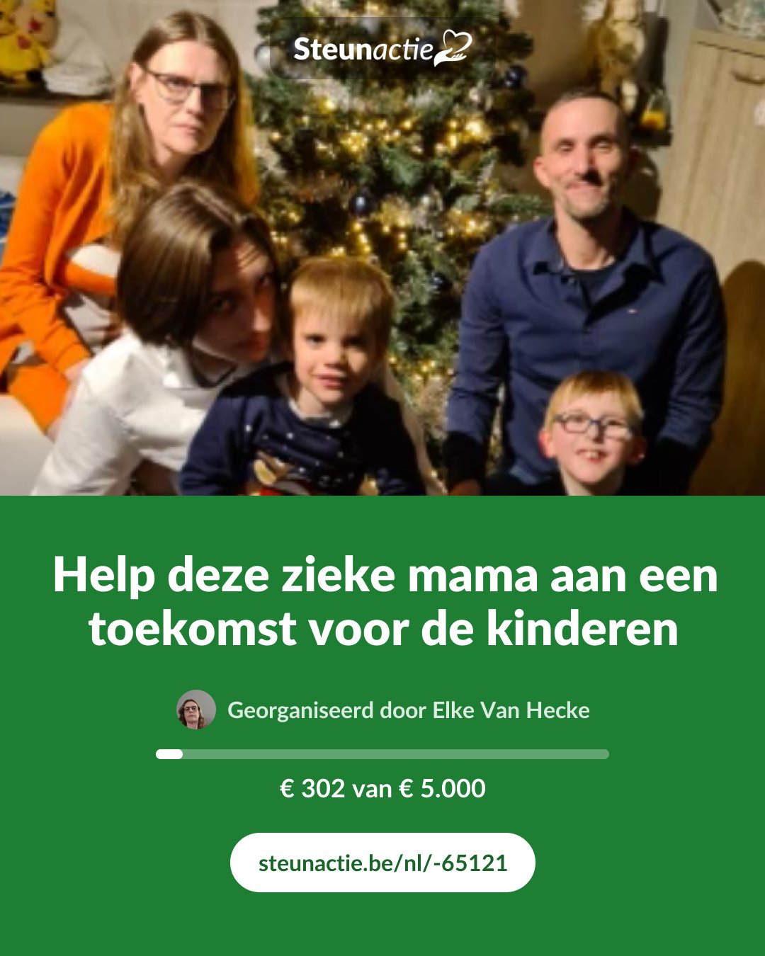 Voorbeeld van de afbeelding