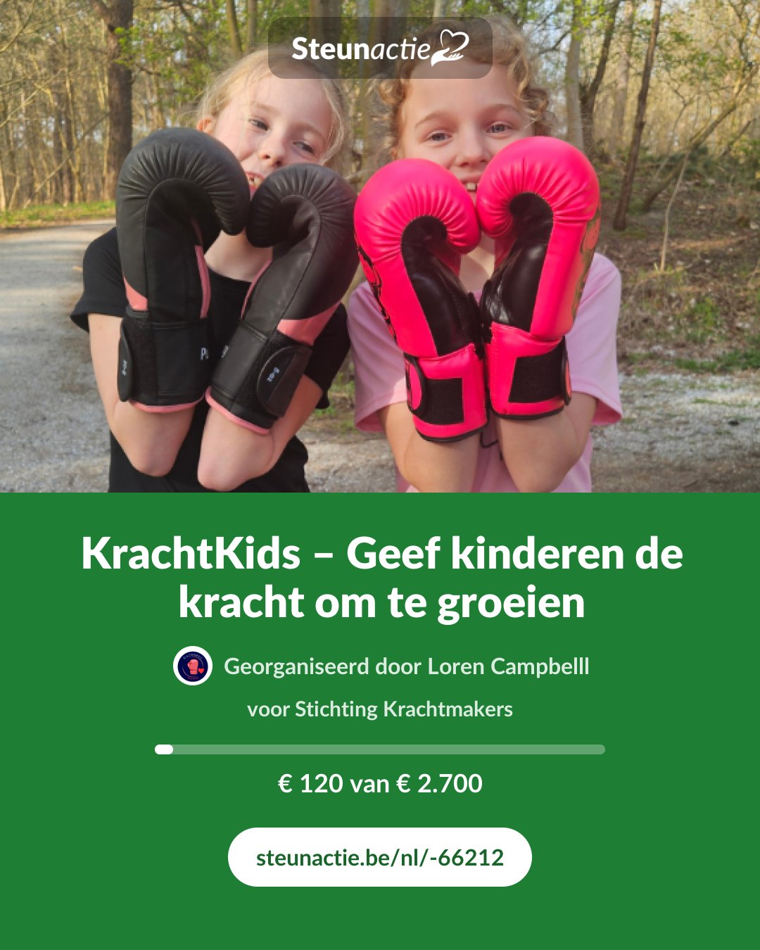 Voorbeeld van de afbeelding