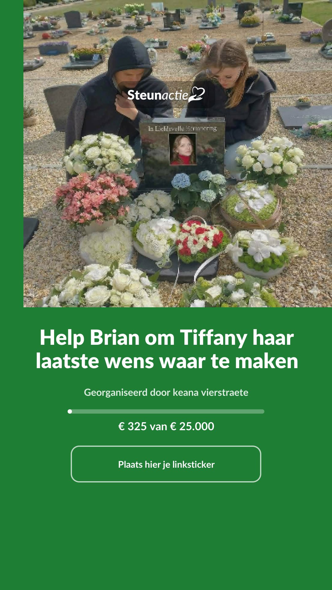 Voorbeeld van de afbeelding
