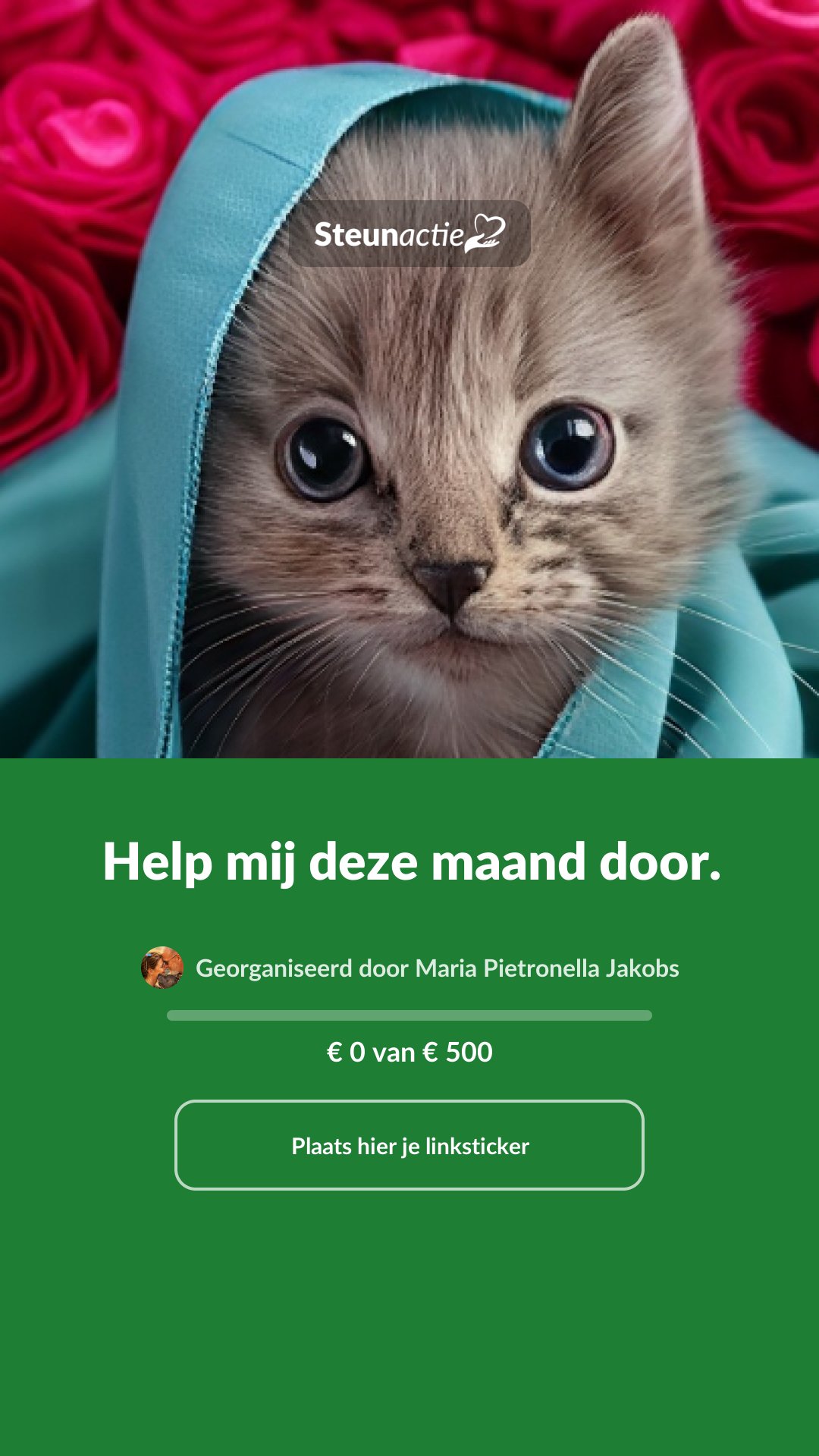 Voorbeeld van de afbeelding
