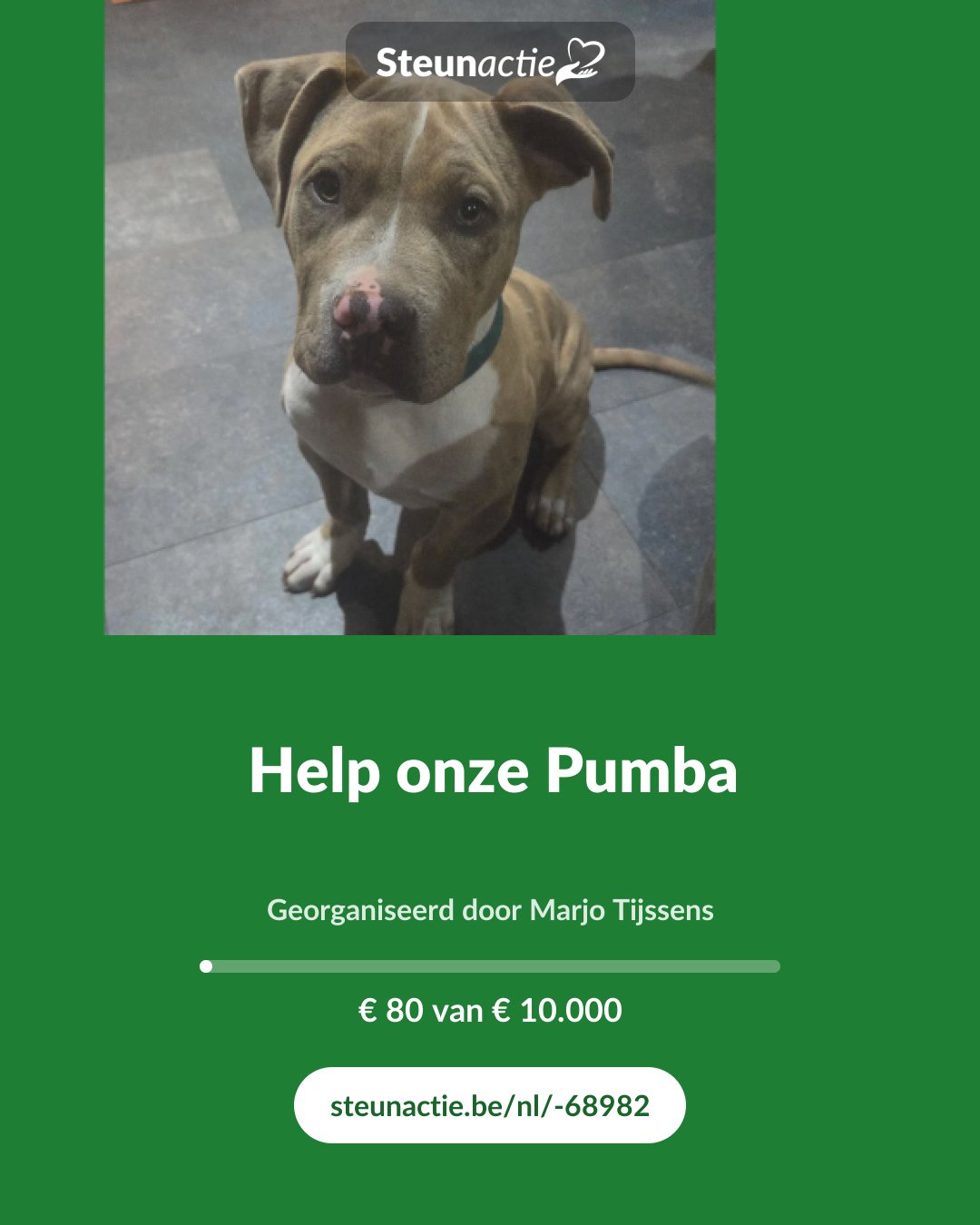 Voorbeeld van de afbeelding