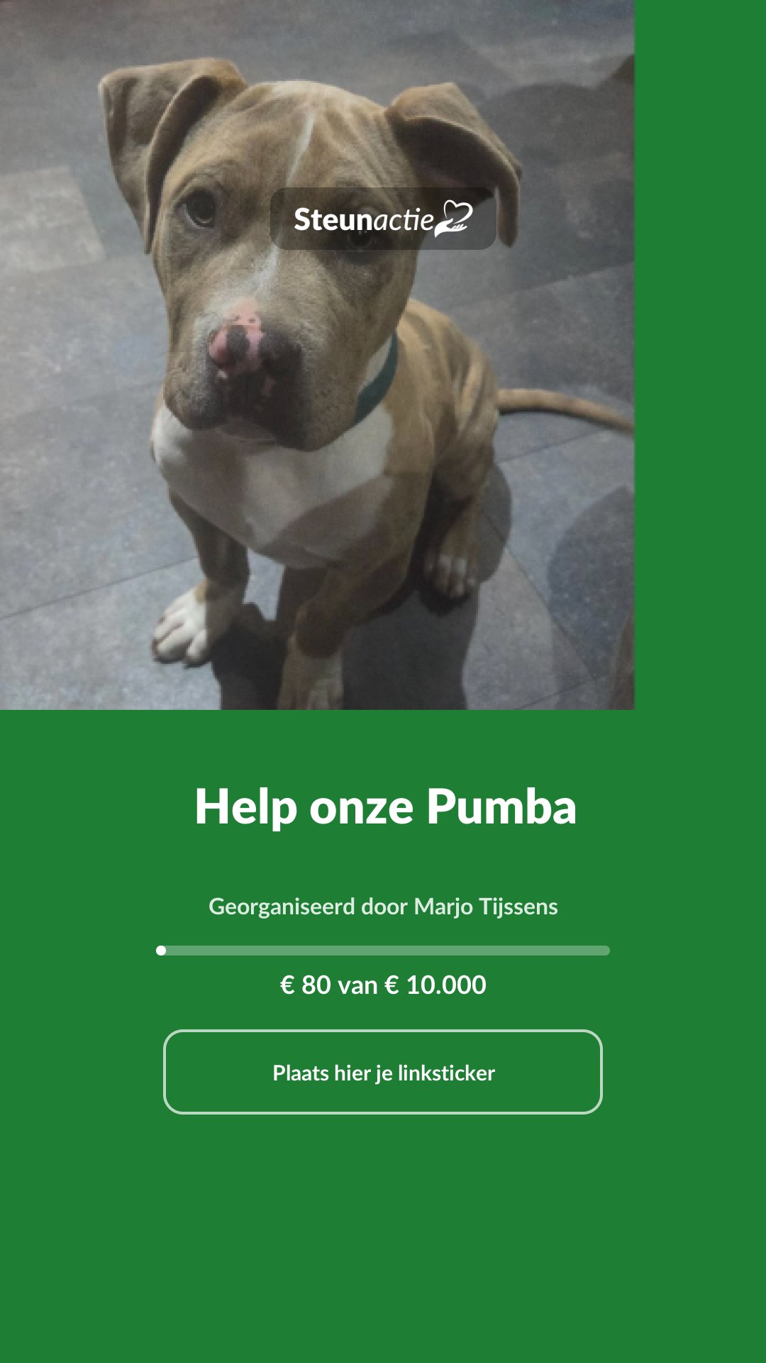 Voorbeeld van de afbeelding