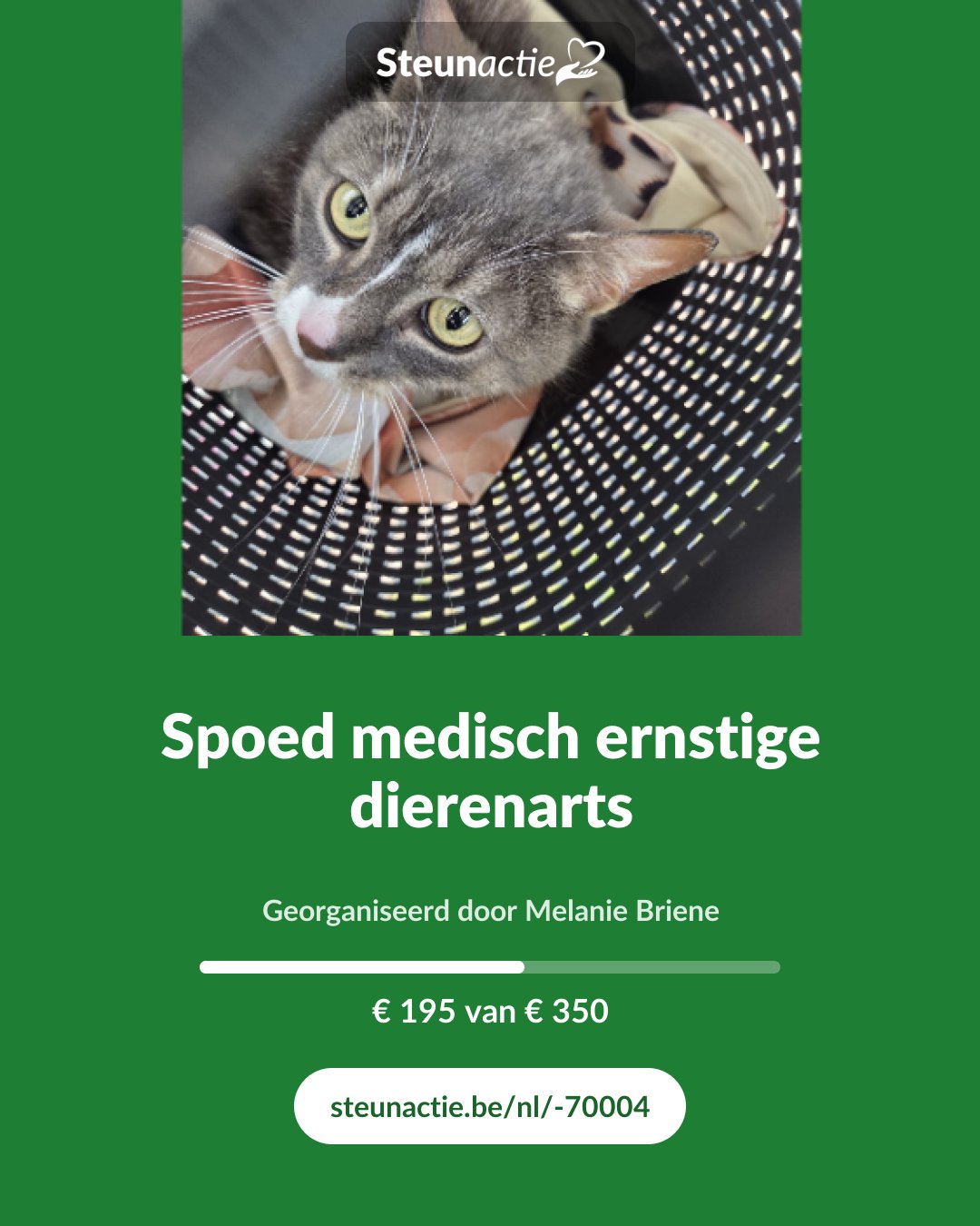 Voorbeeld van de afbeelding
