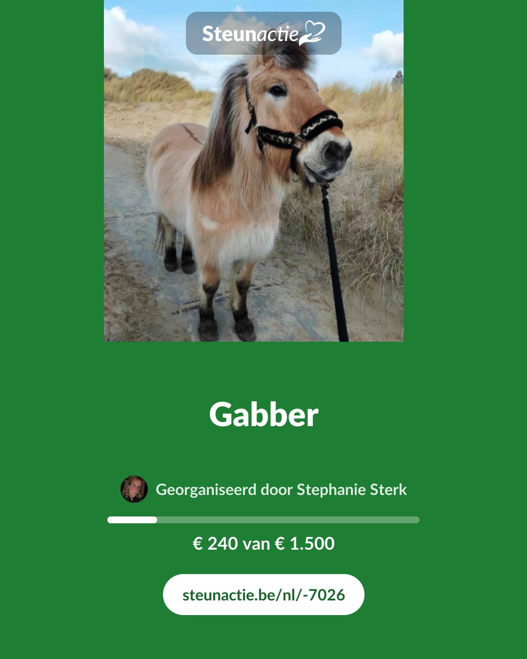 Voorbeeld van de afbeelding