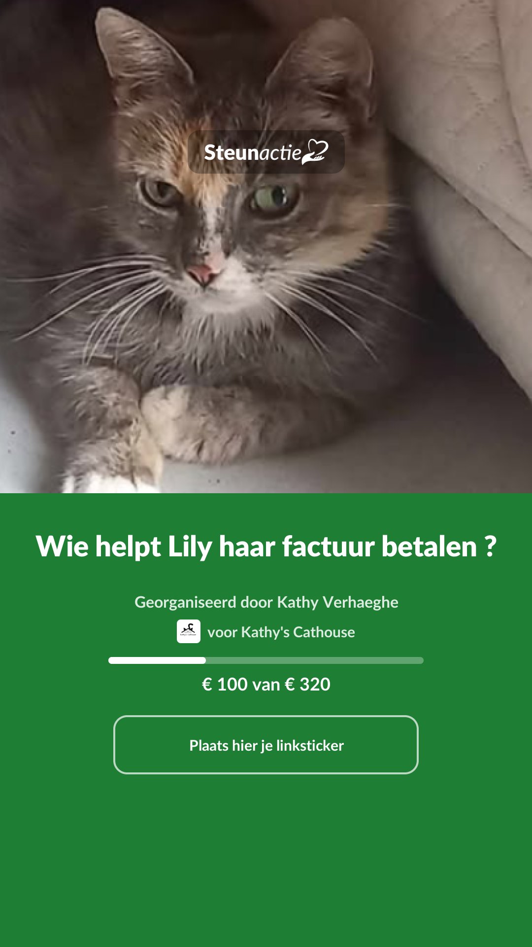 Voorbeeld van de afbeelding
