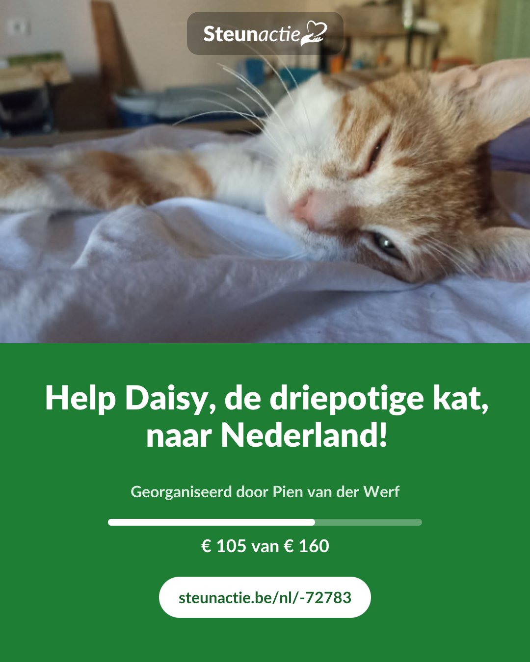 Voorbeeld van de afbeelding