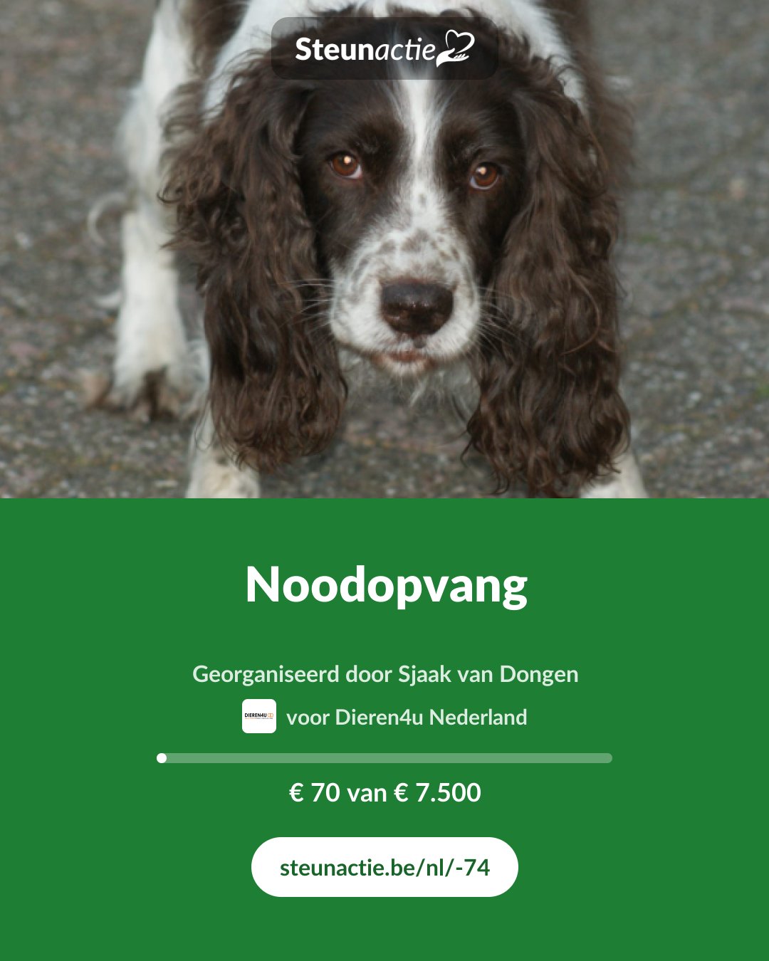 Voorbeeld van de afbeelding