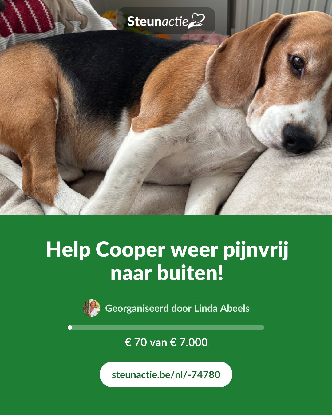Voorbeeld van de afbeelding