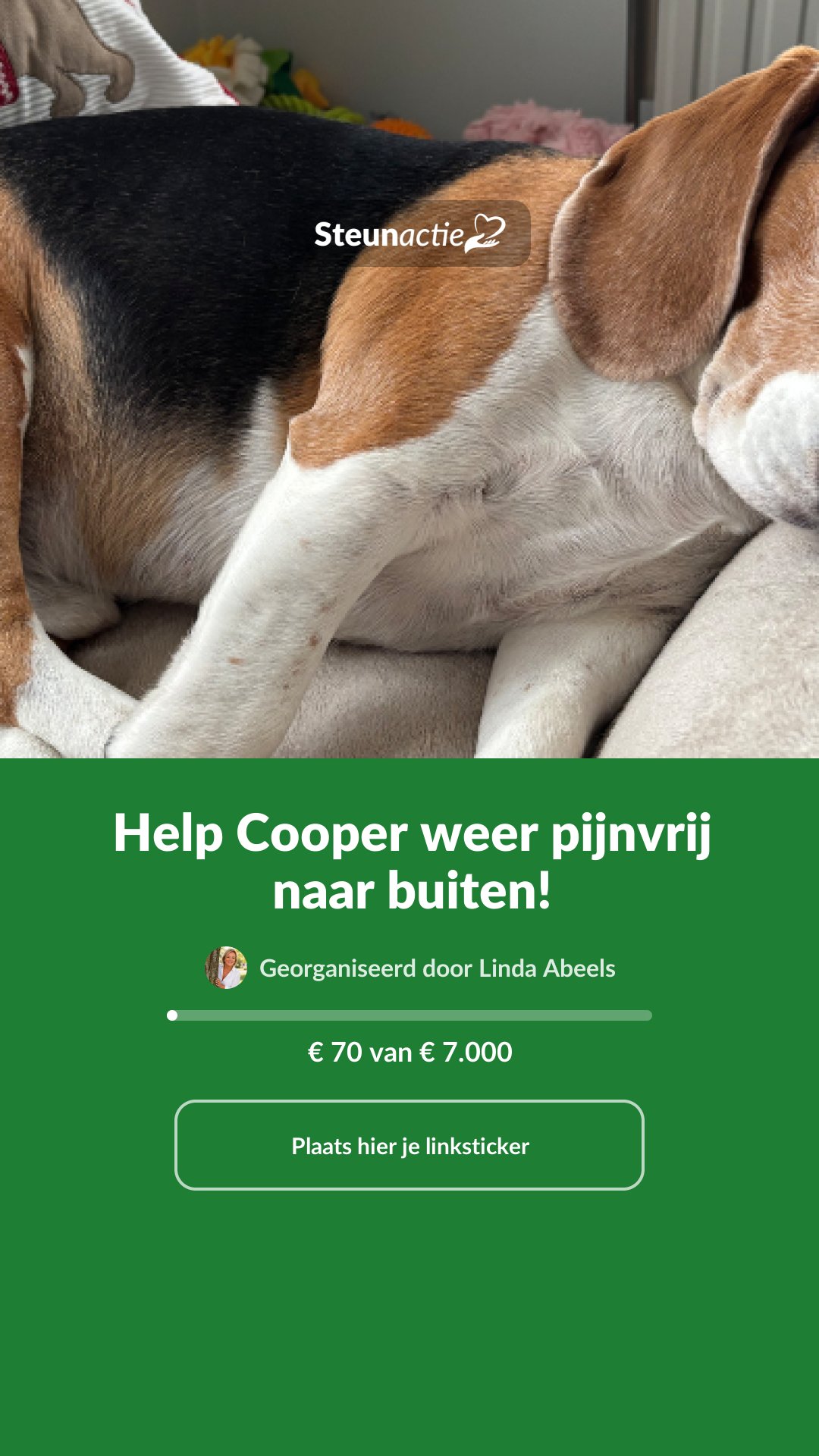 Voorbeeld van de afbeelding