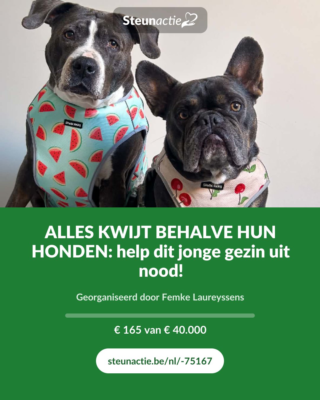 Voorbeeld van de afbeelding