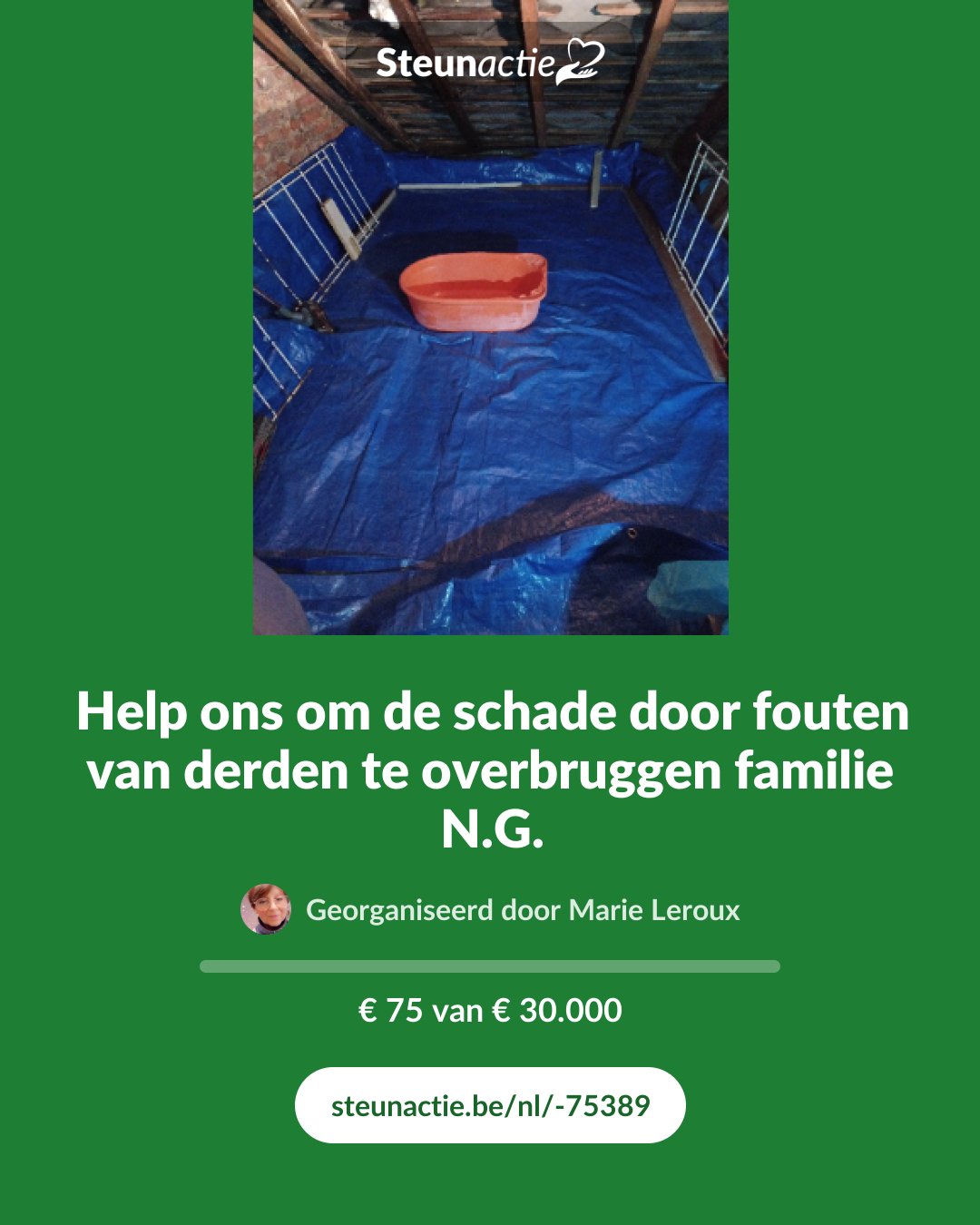 Voorbeeld van de afbeelding