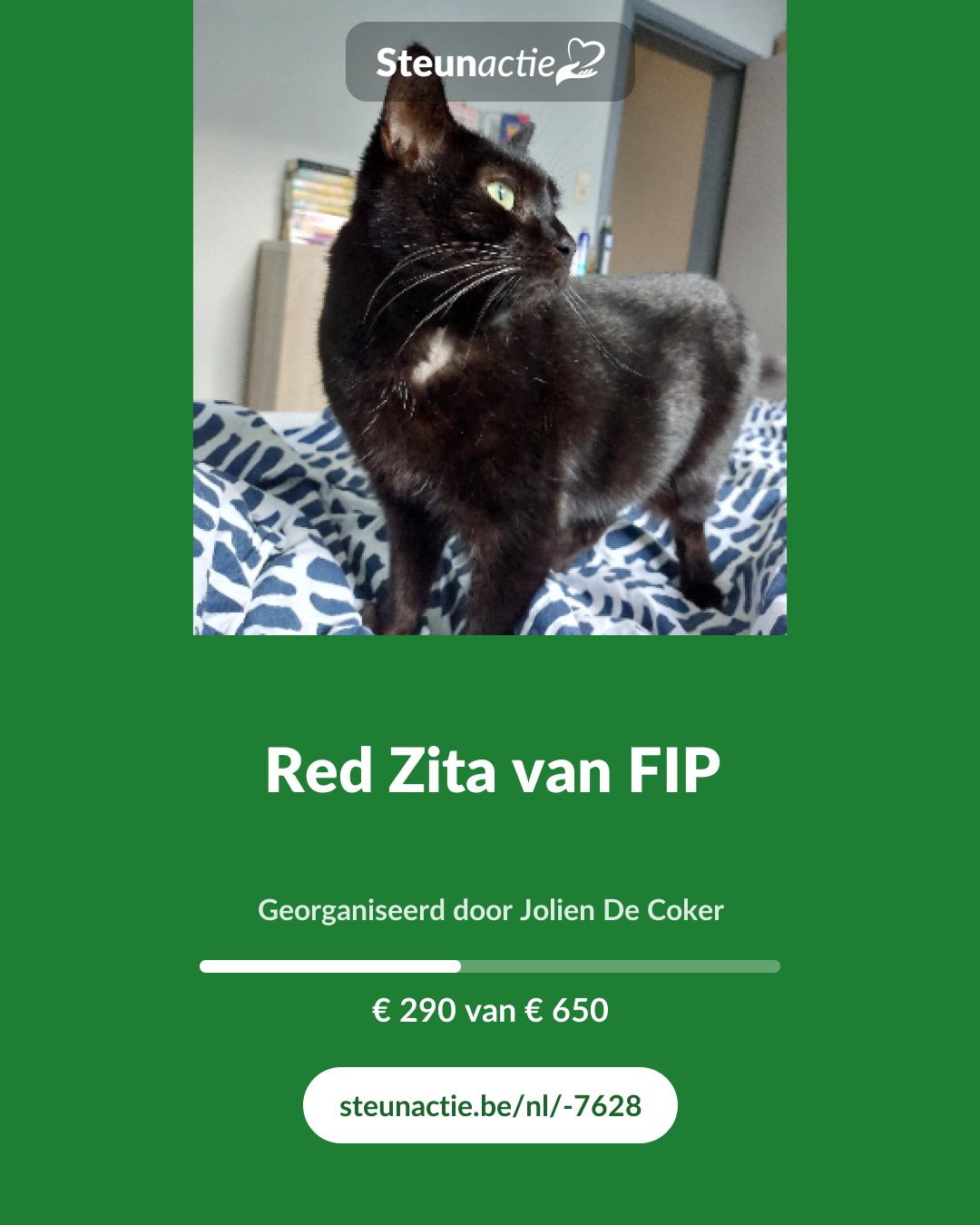 Voorbeeld van de afbeelding