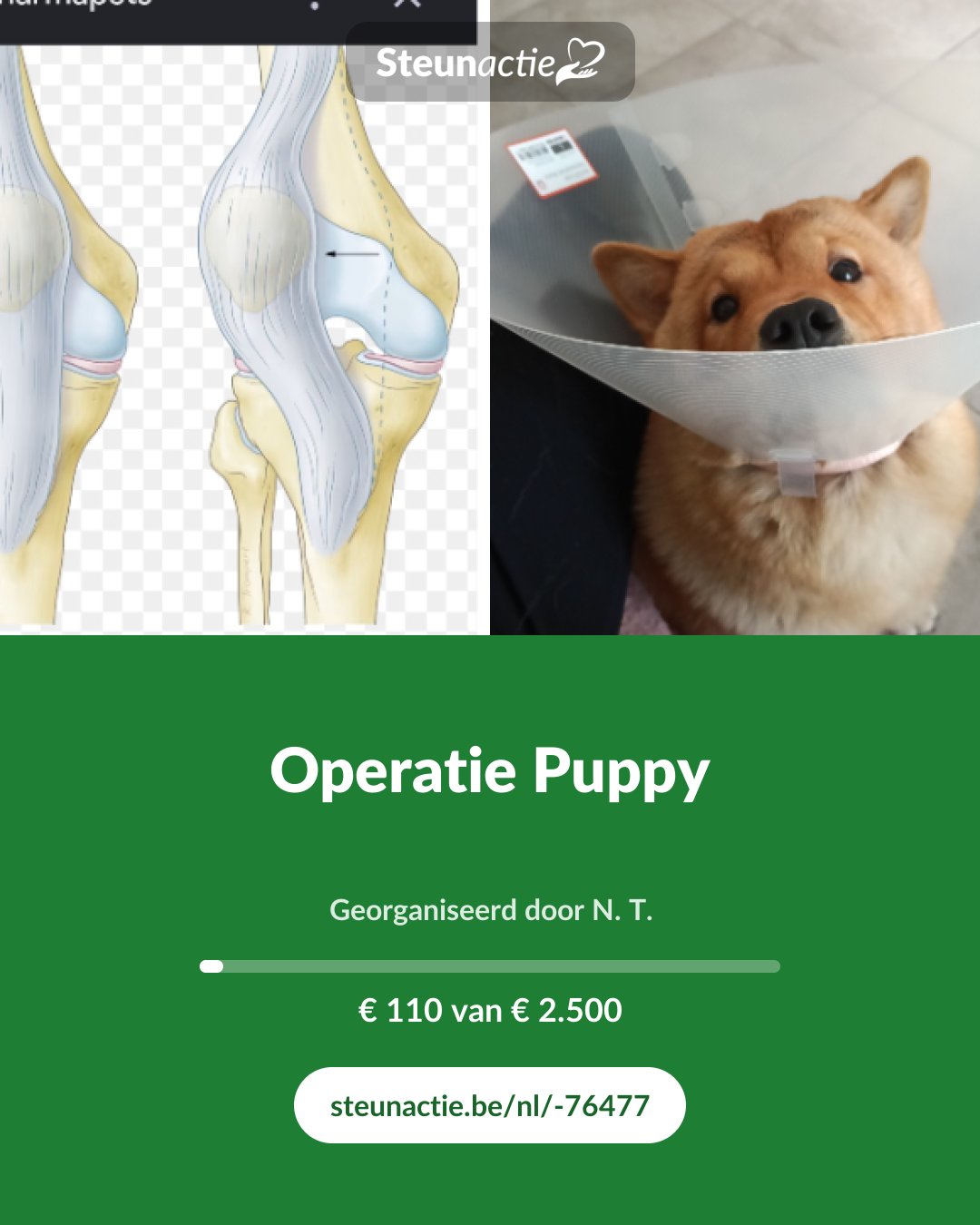 Voorbeeld van de afbeelding