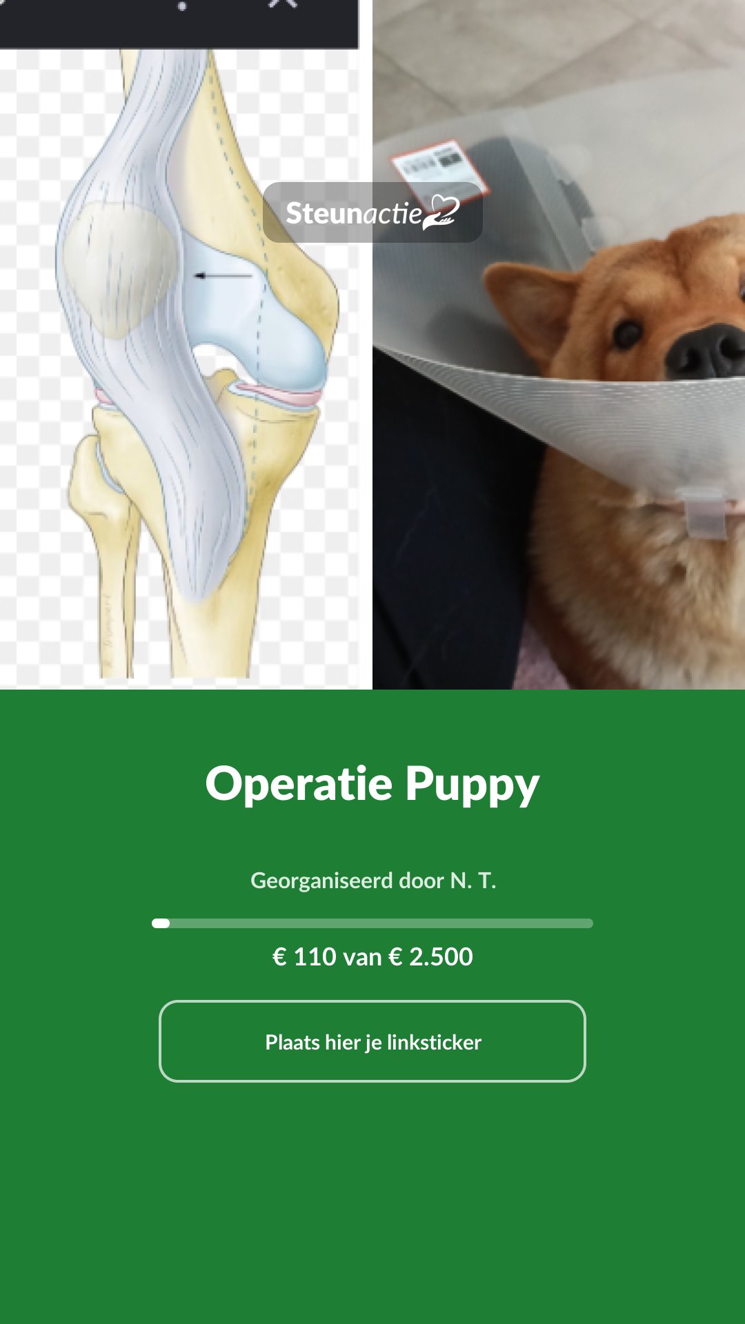 Voorbeeld van de afbeelding
