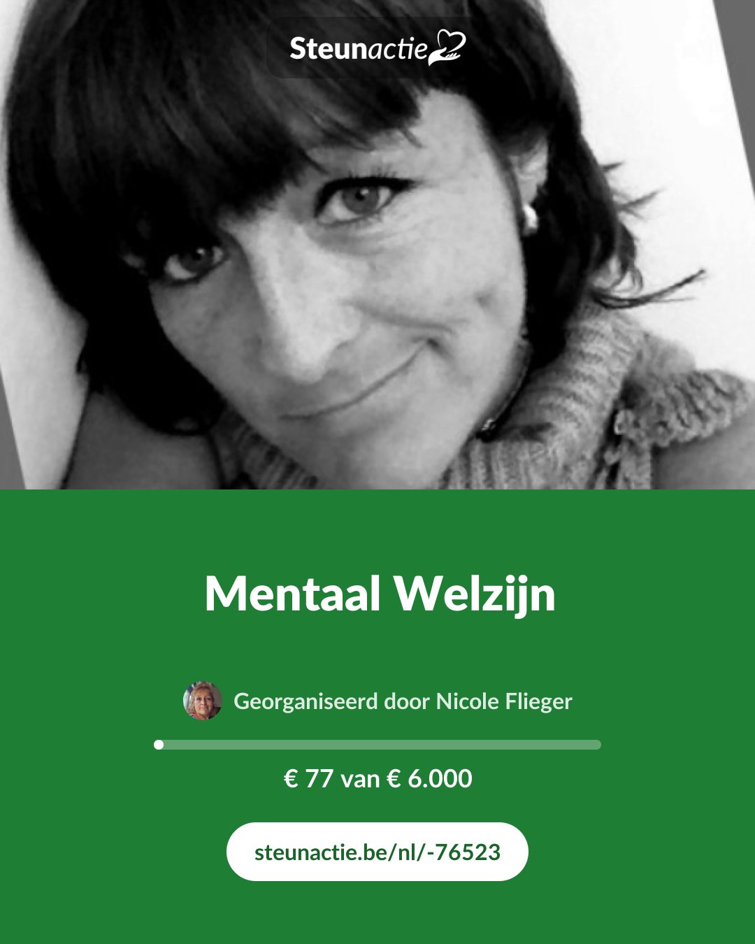 Voorbeeld van de afbeelding