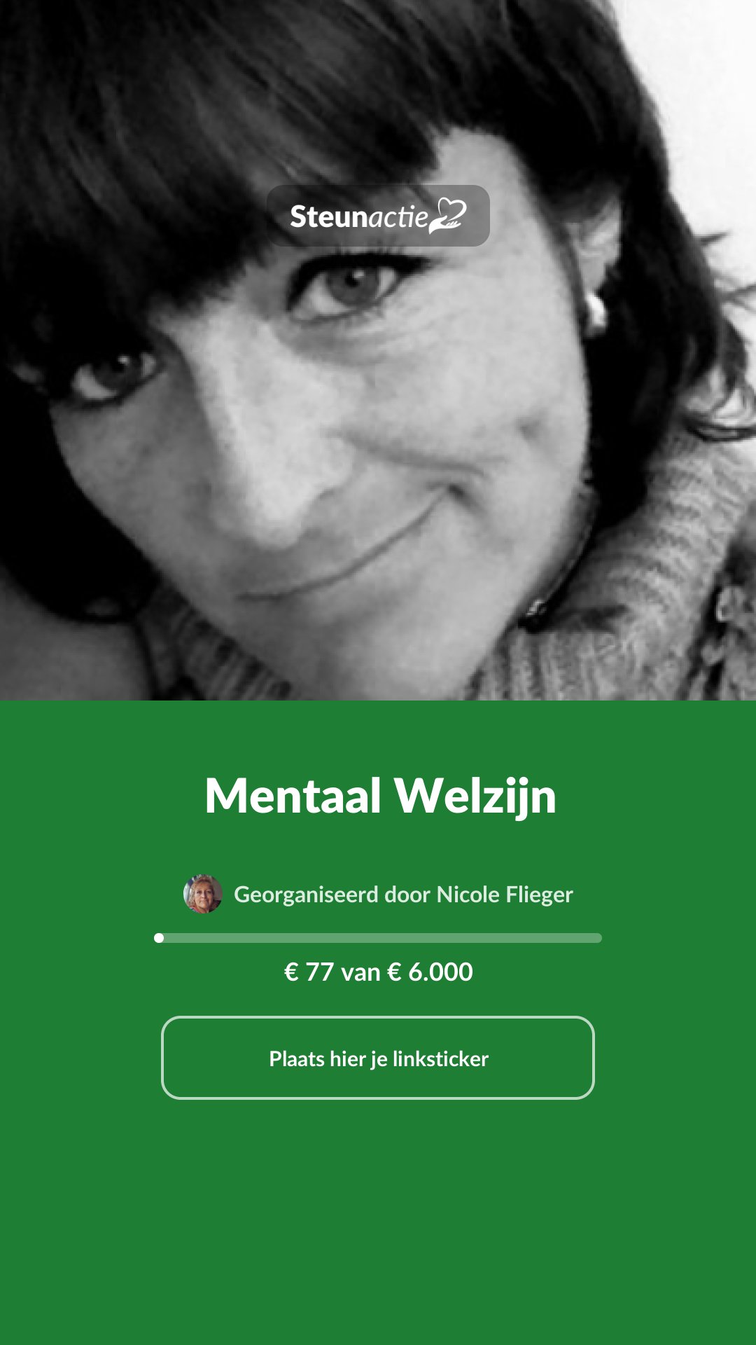 Voorbeeld van de afbeelding