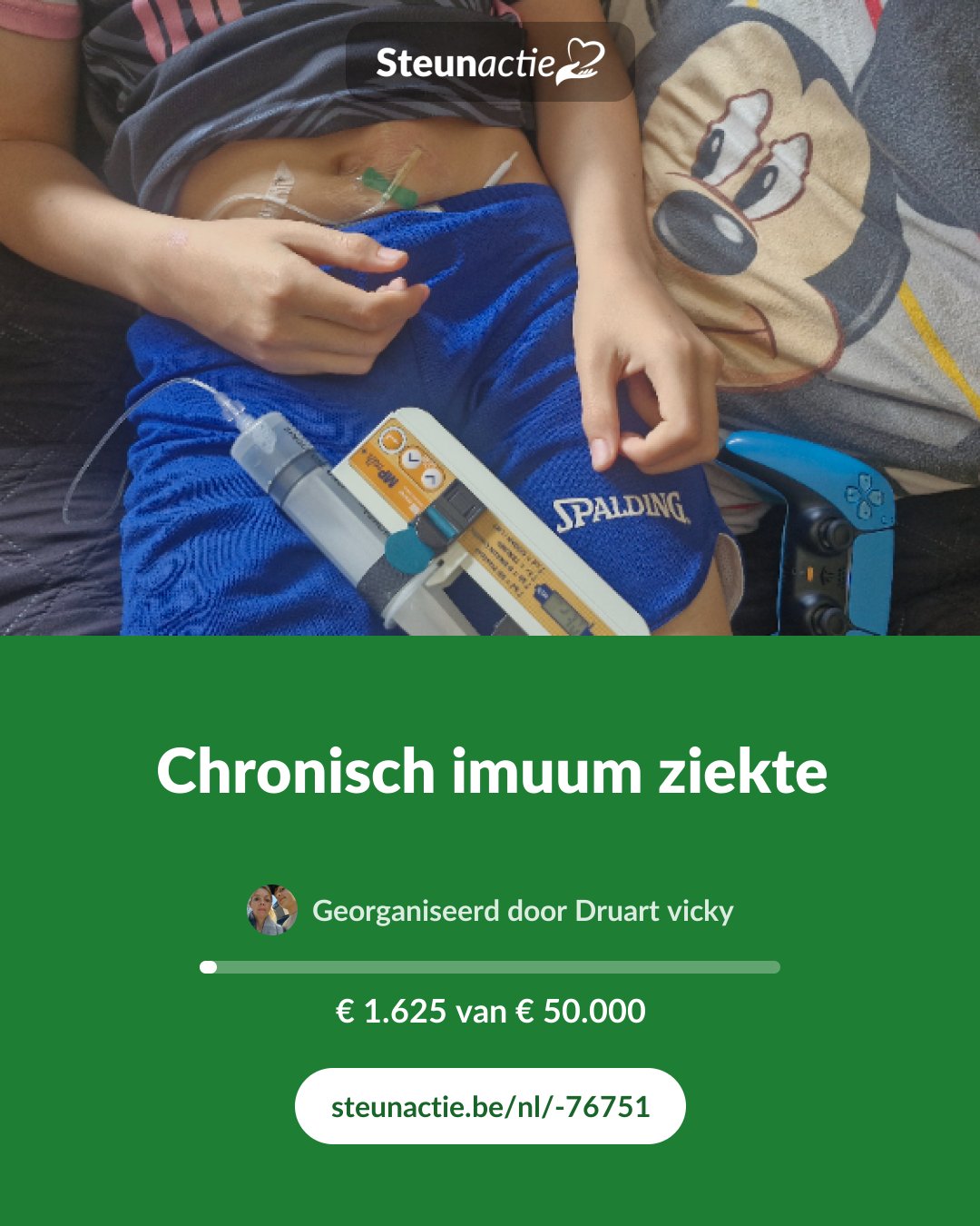 Voorbeeld van de afbeelding