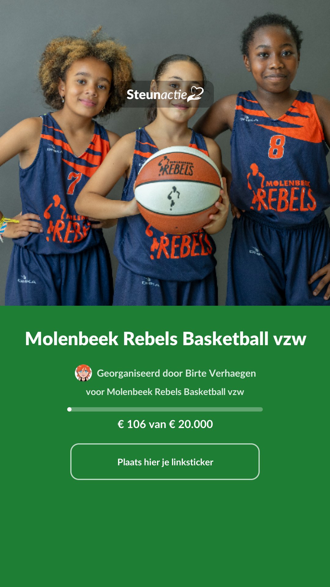 Voorbeeld van de afbeelding