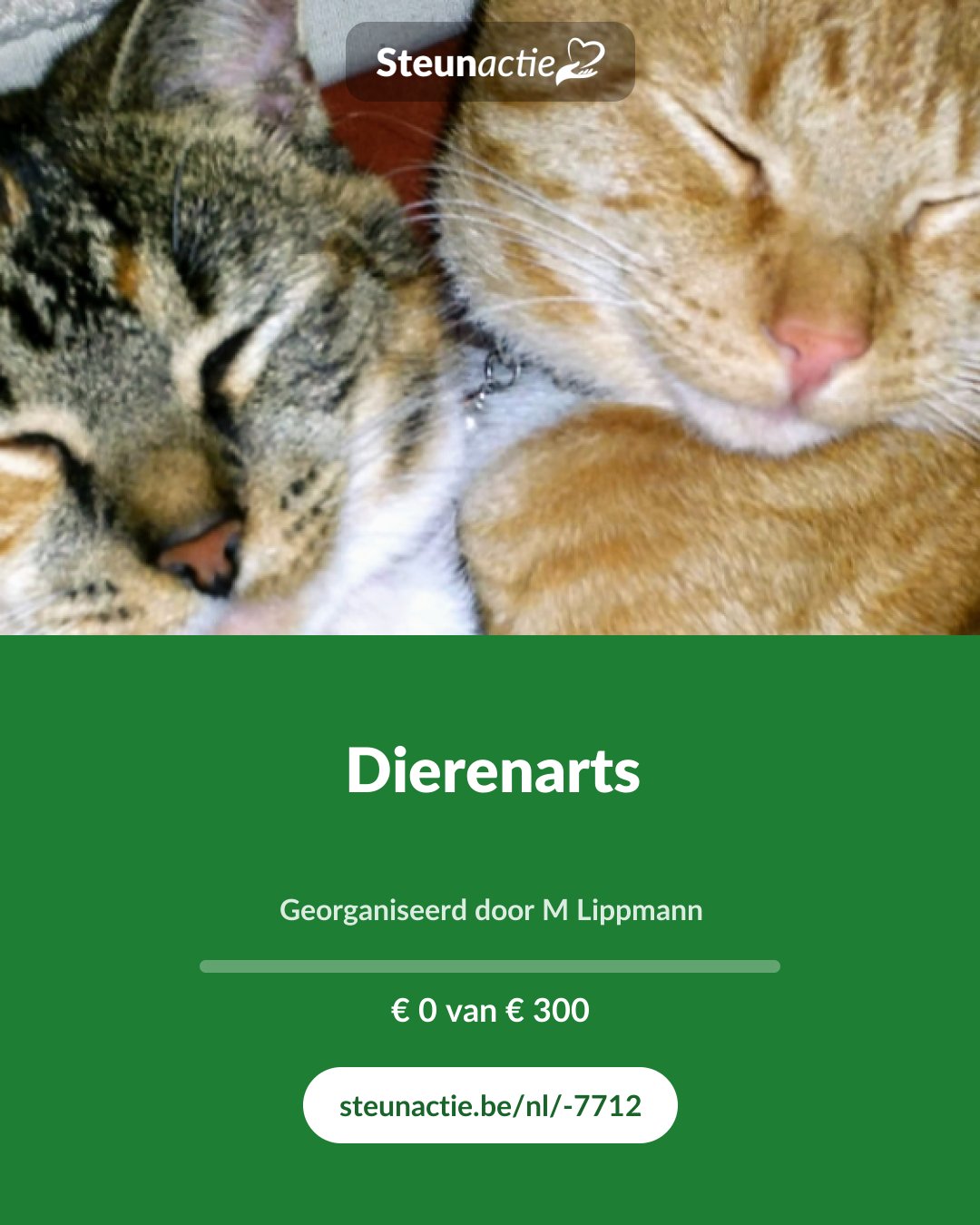 Voorbeeld van de afbeelding