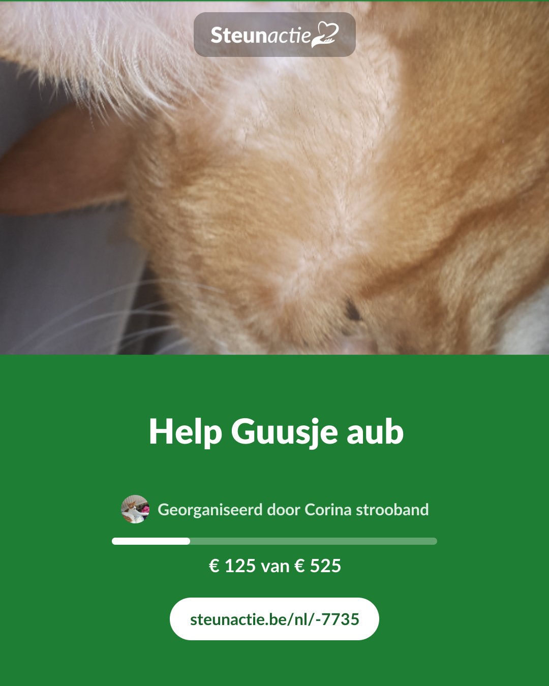 Voorbeeld van de afbeelding