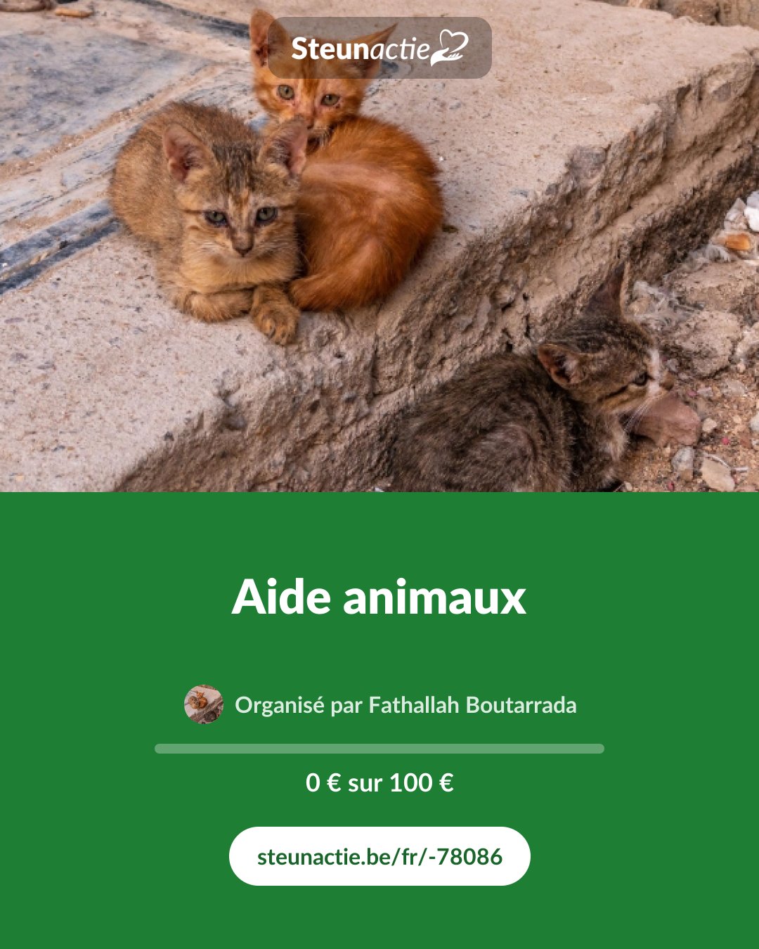 Aperçu de l'image