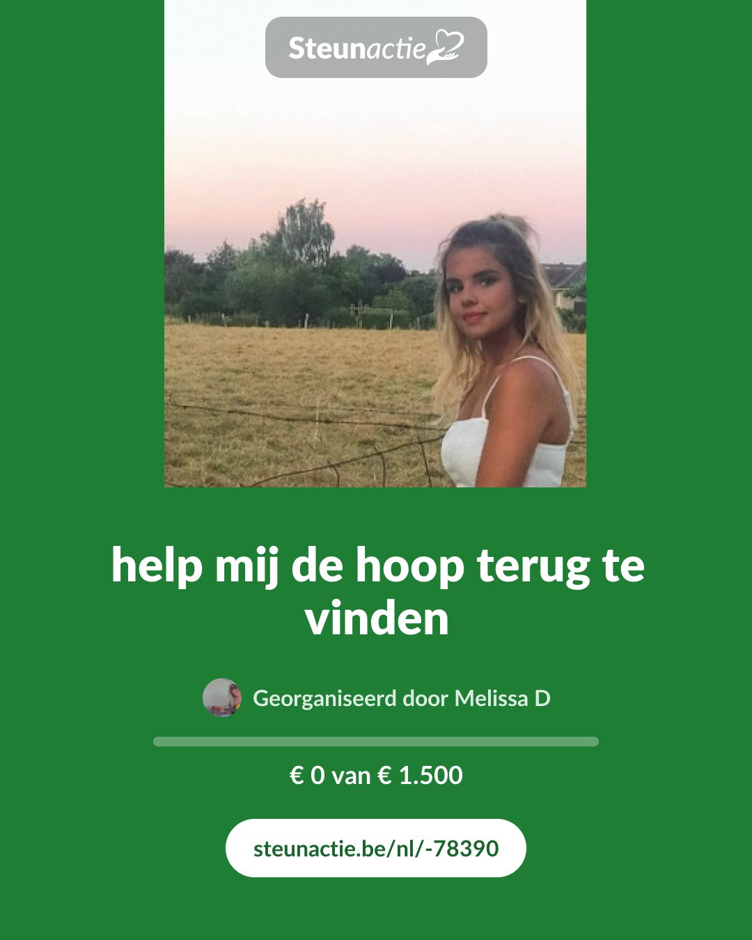 Voorbeeld van de afbeelding