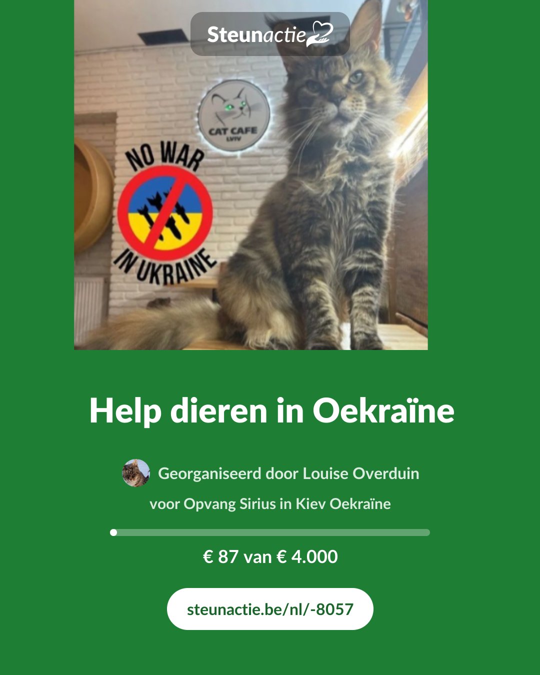 Voorbeeld van de afbeelding