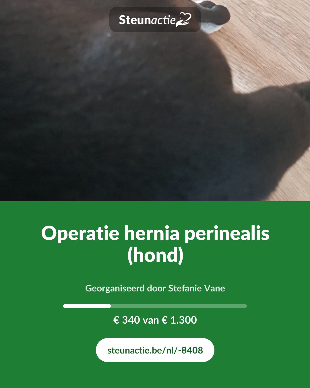 Voorbeeld van de afbeelding