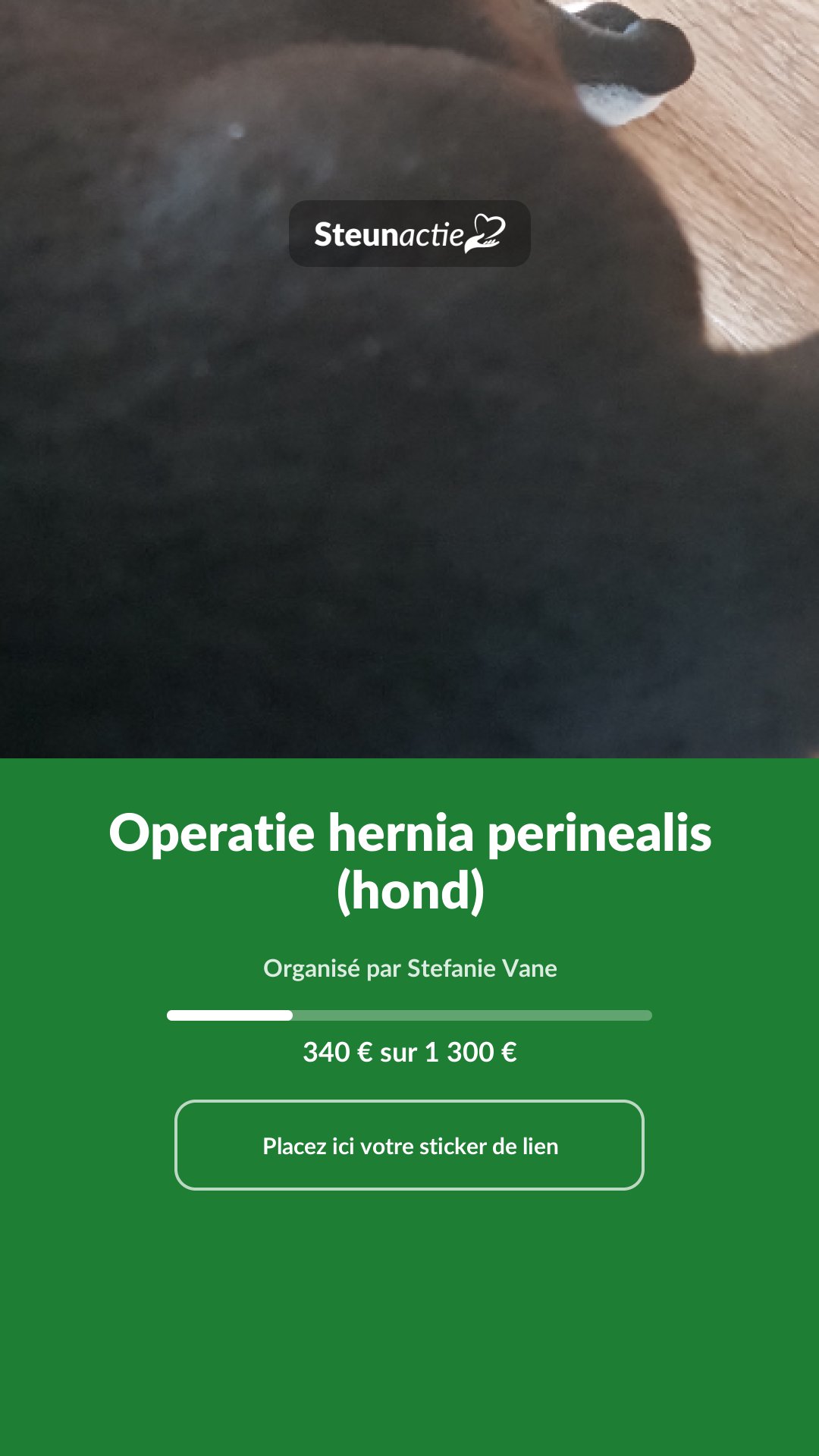 Aperçu de l'image
