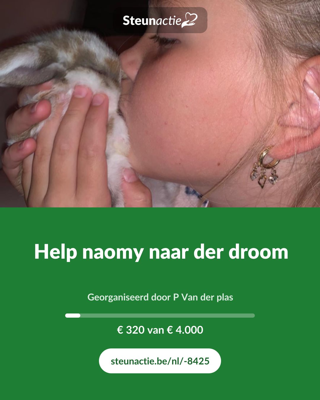 Voorbeeld van de afbeelding